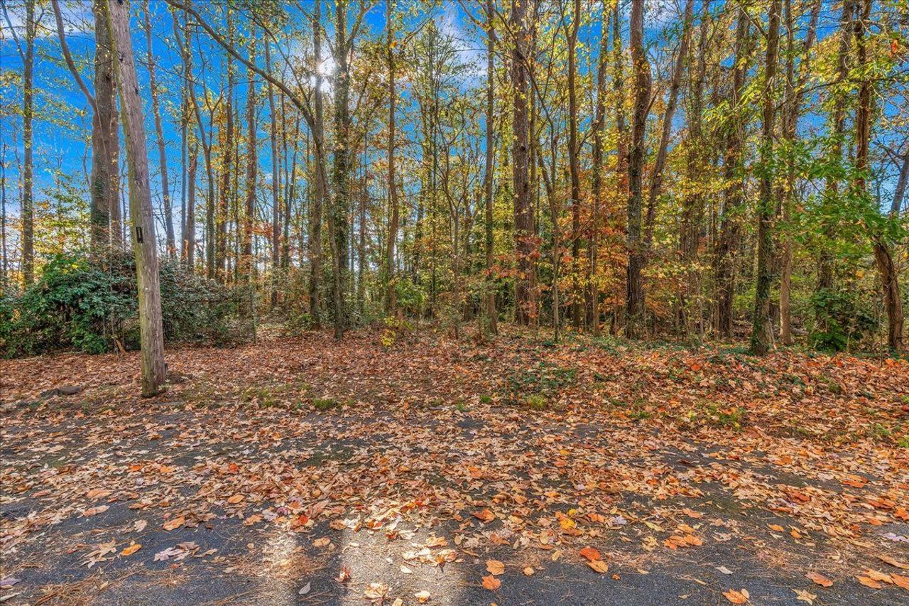 listing, photo 1