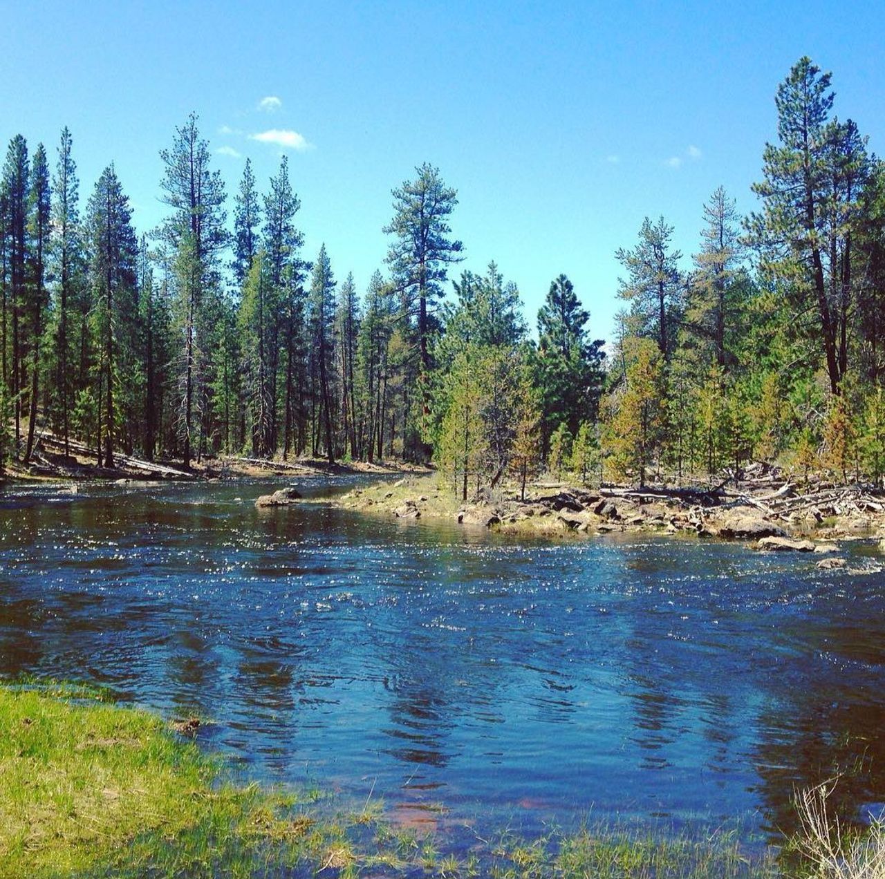 listing, photo 1