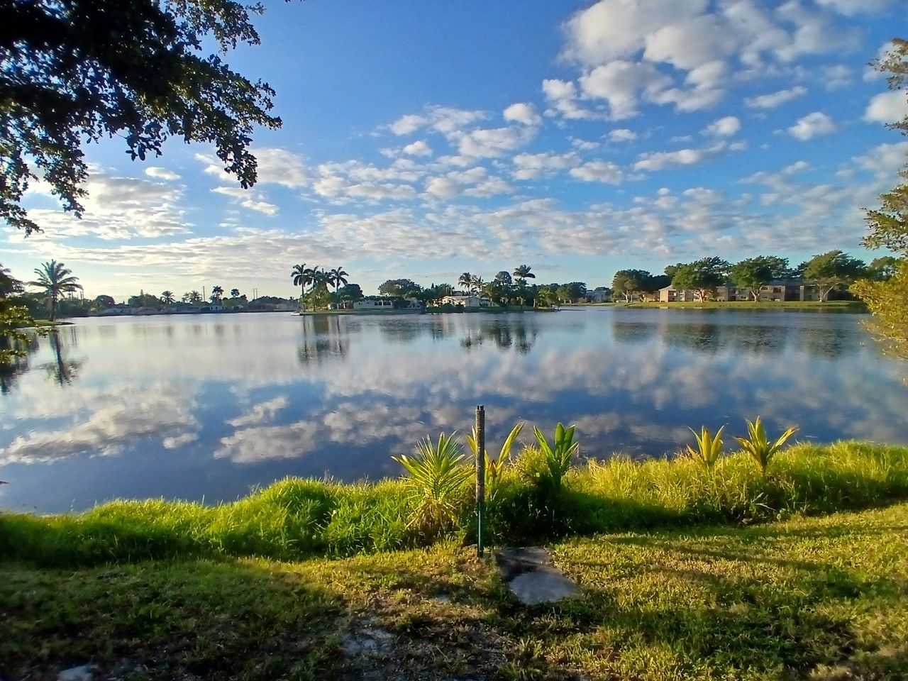 listing, photo 1