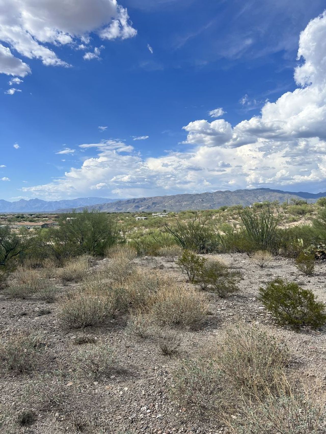 listing, photo 1