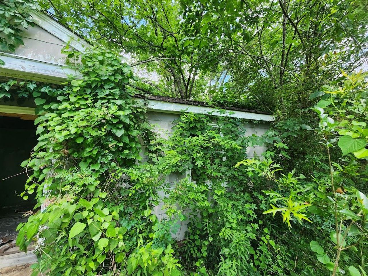 listing, photo 1