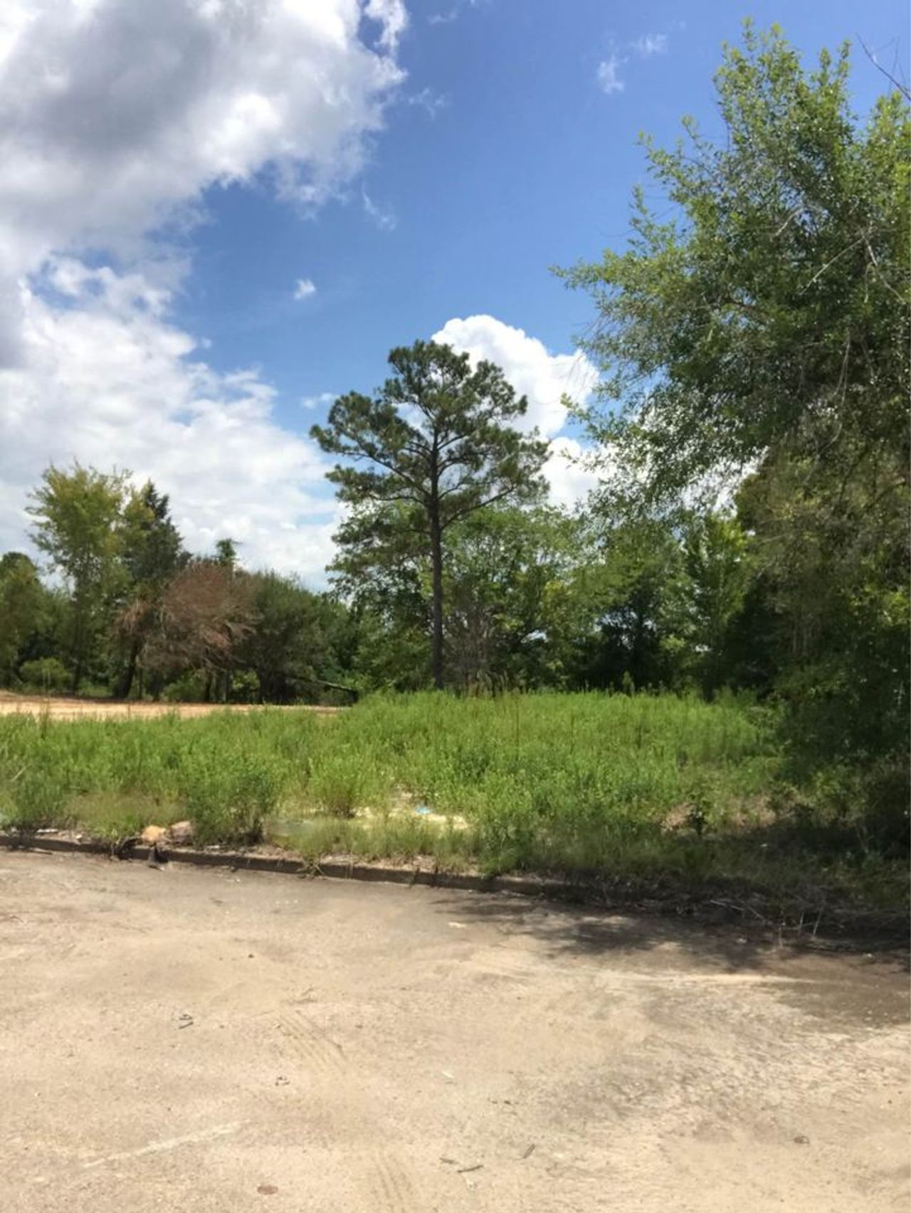 listing, photo 1