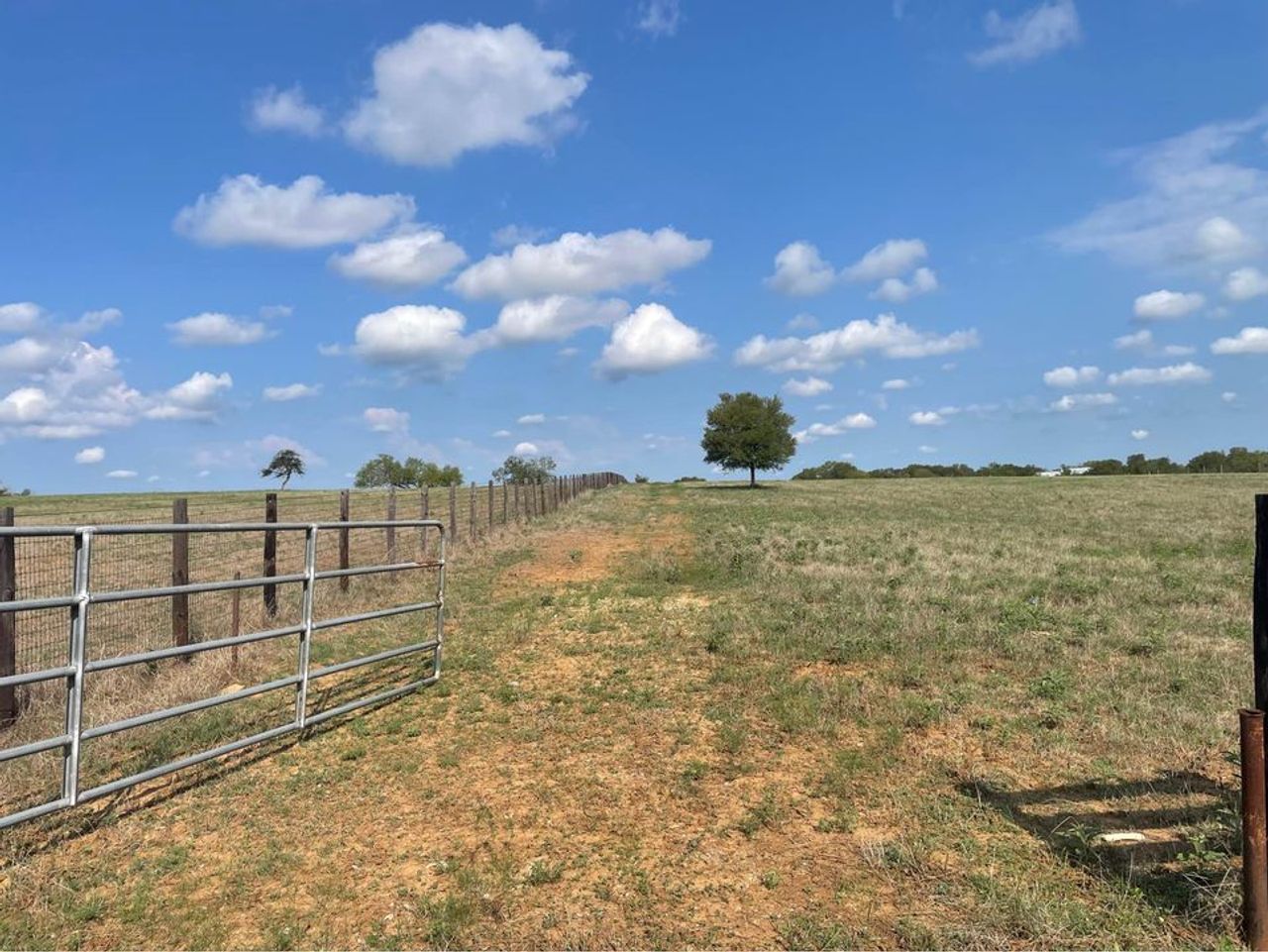 listing, photo 1