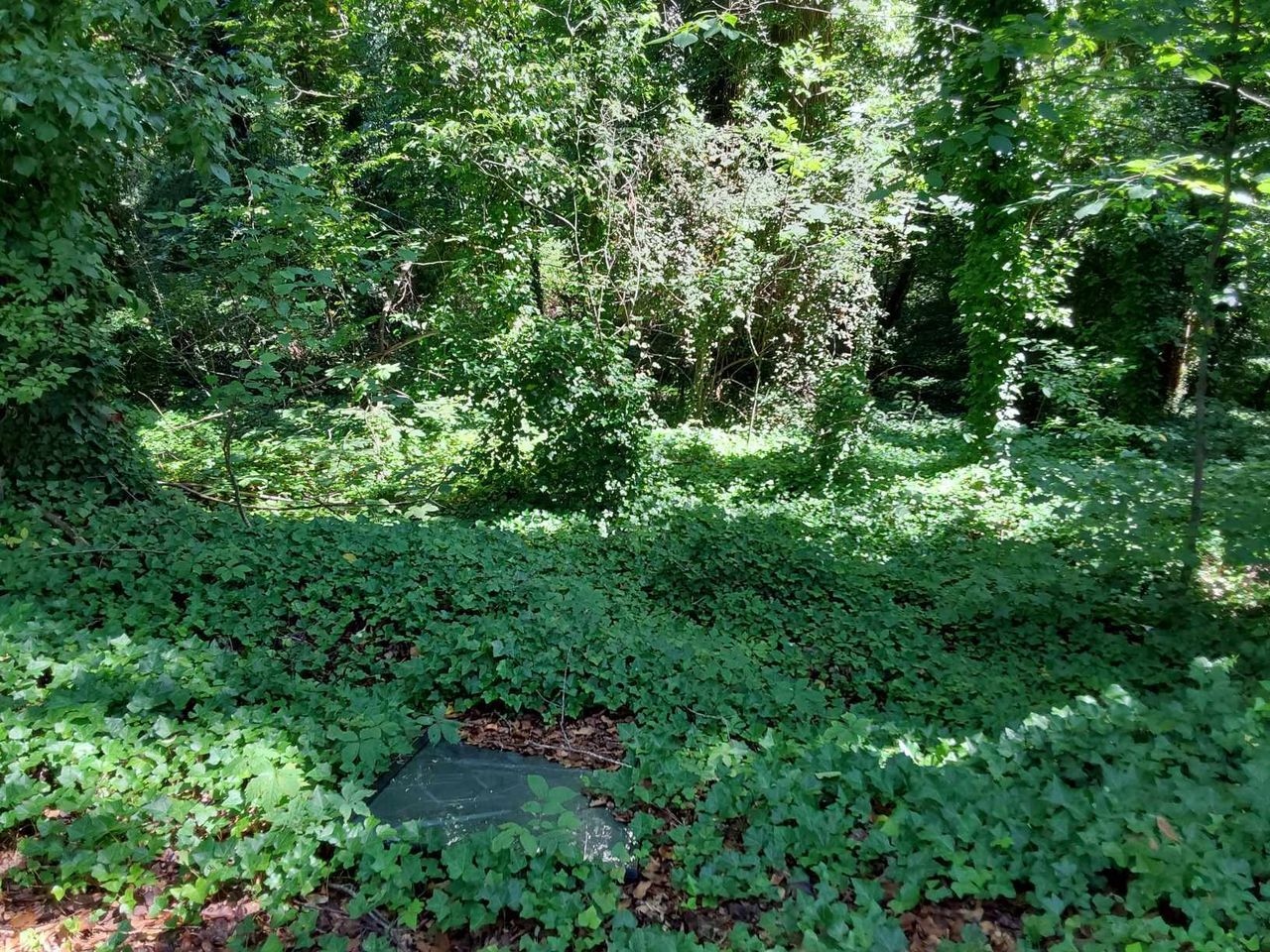 listing, photo 1