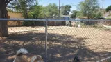 Thumbnail 22