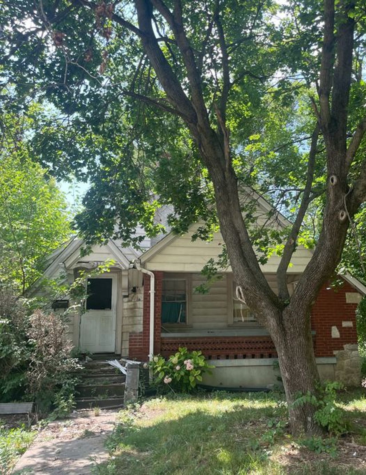 listing, photo 1
