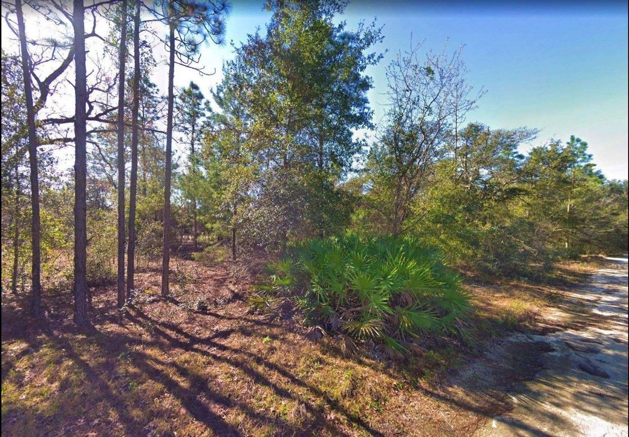 listing, photo 1
