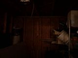 Thumbnail 27