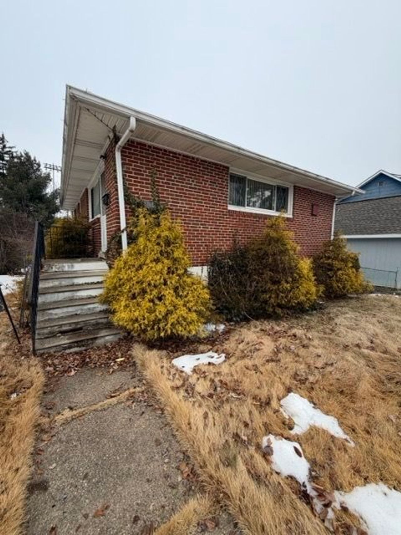 listing, photo 1