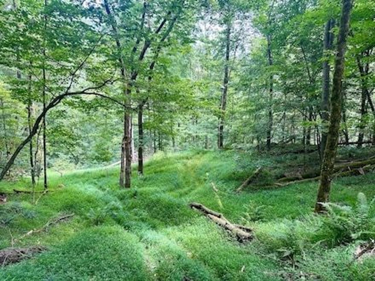 listing, photo 1