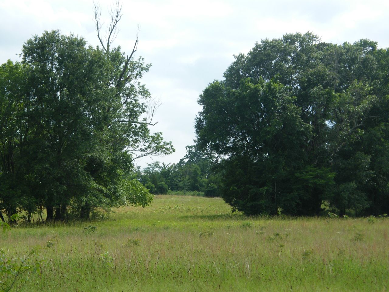listing, photo 1