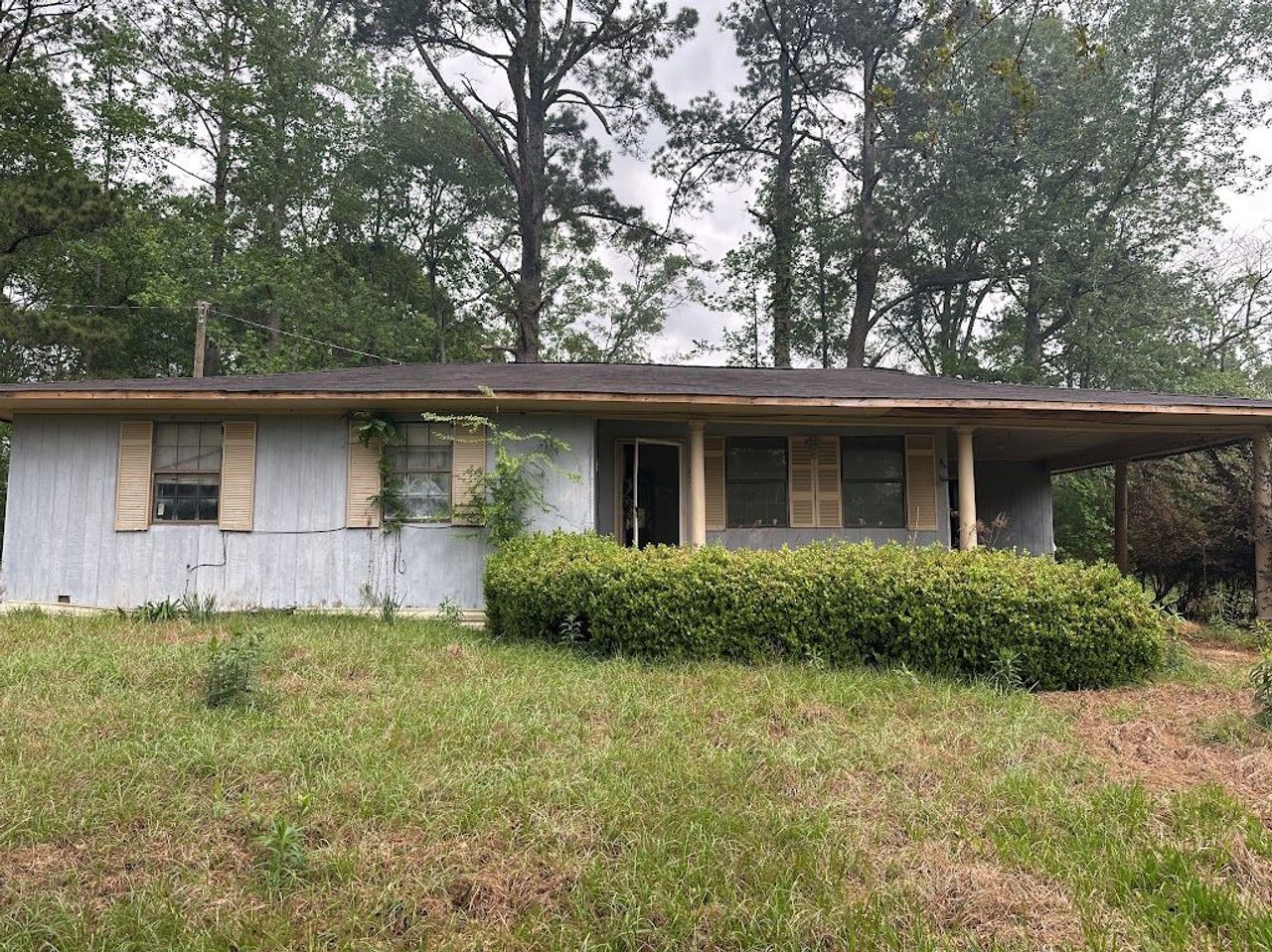 listing, photo 1