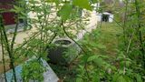 Thumbnail 22
