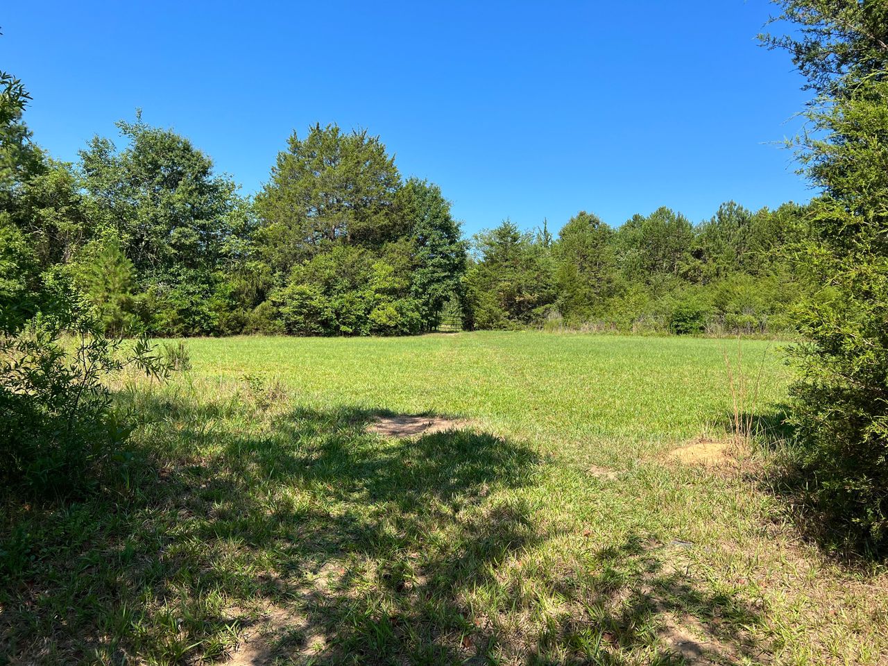 listing, photo 1