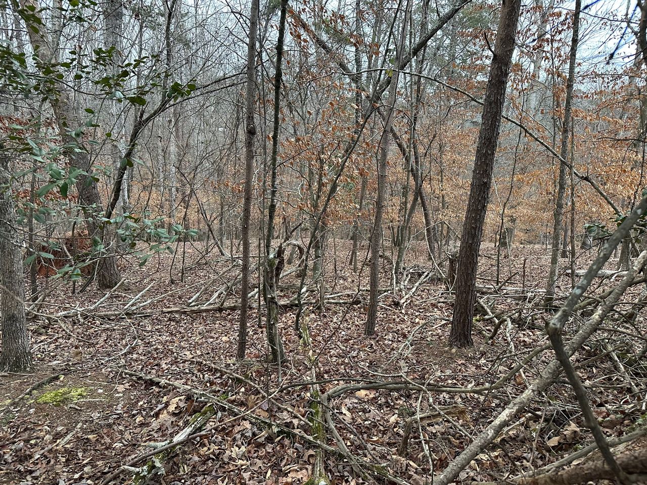 listing, photo 1