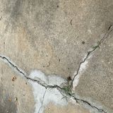 Thumbnail 113