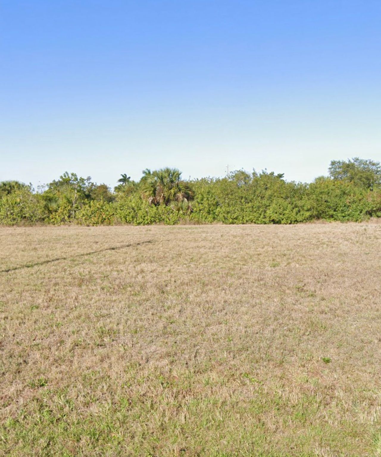 listing, photo 1