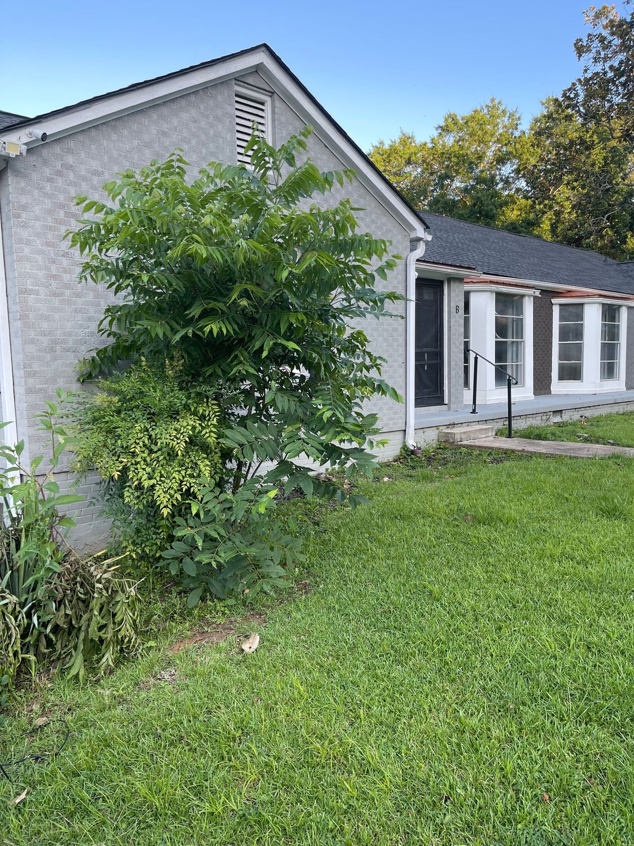 listing, photo 1