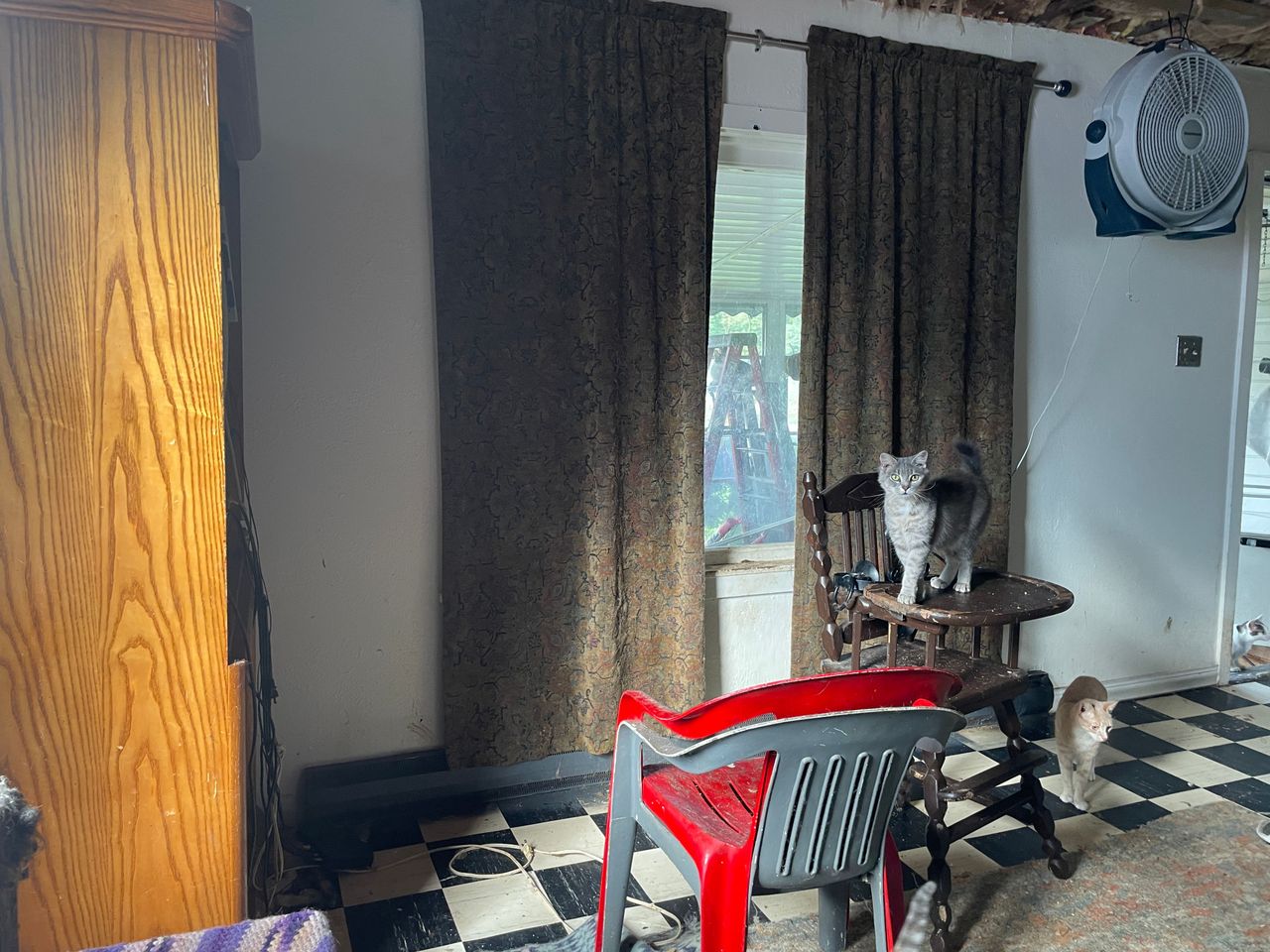 listing, photo 1