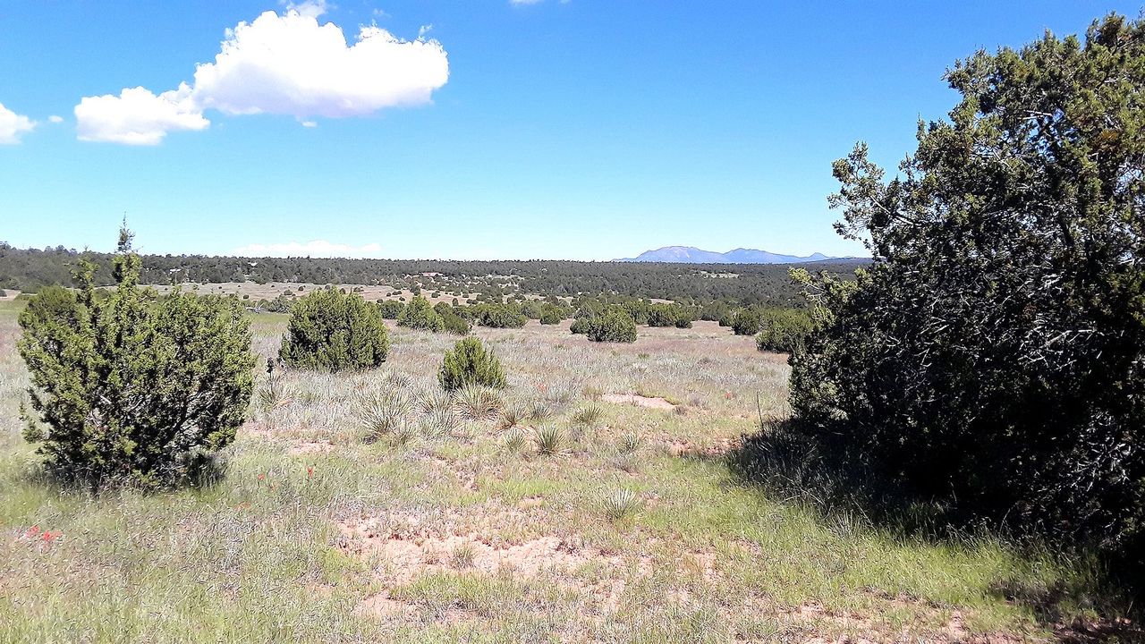 listing, photo 1