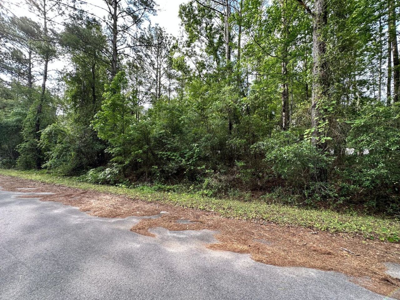 listing, photo 1