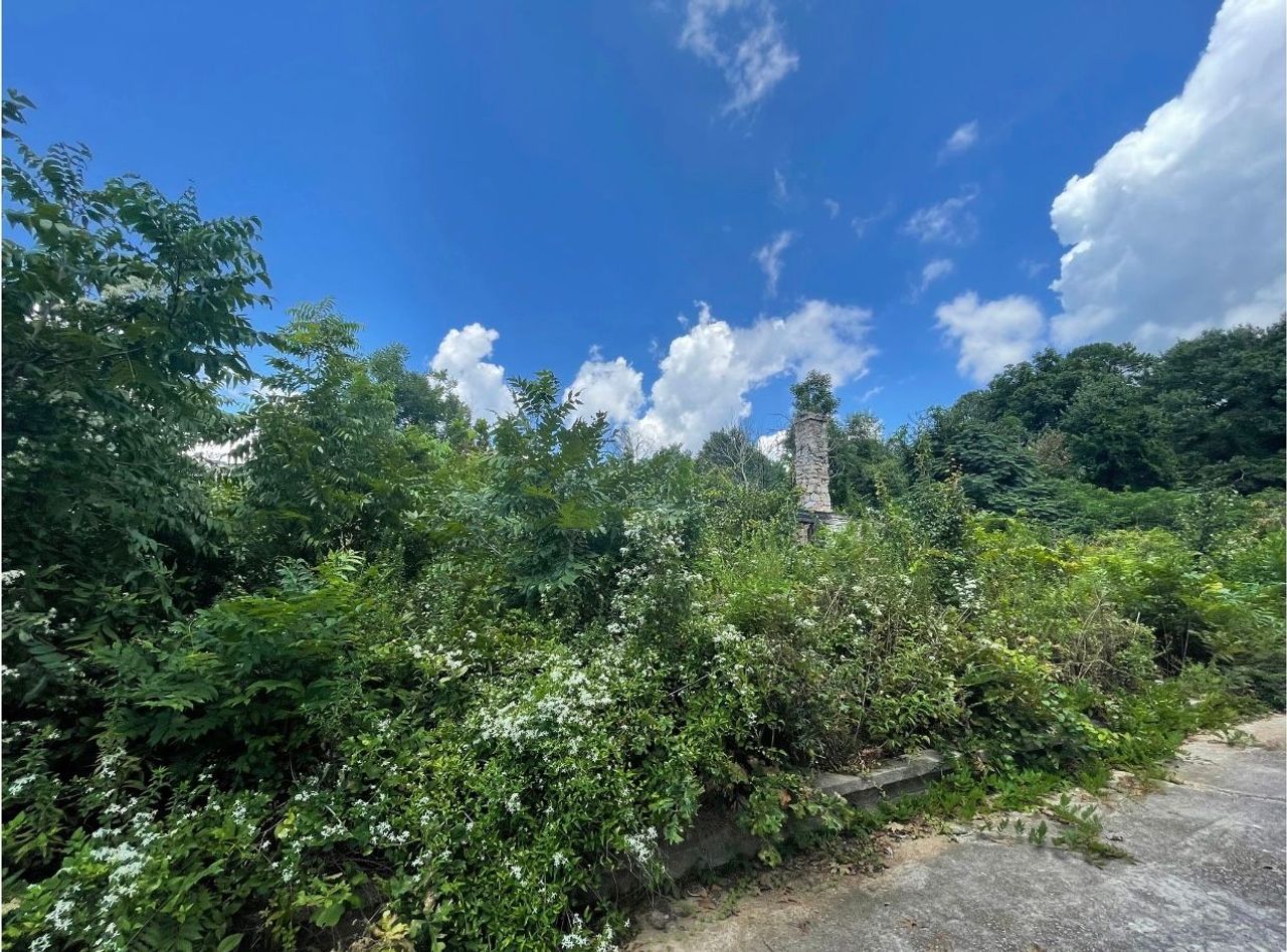listing, photo 1
