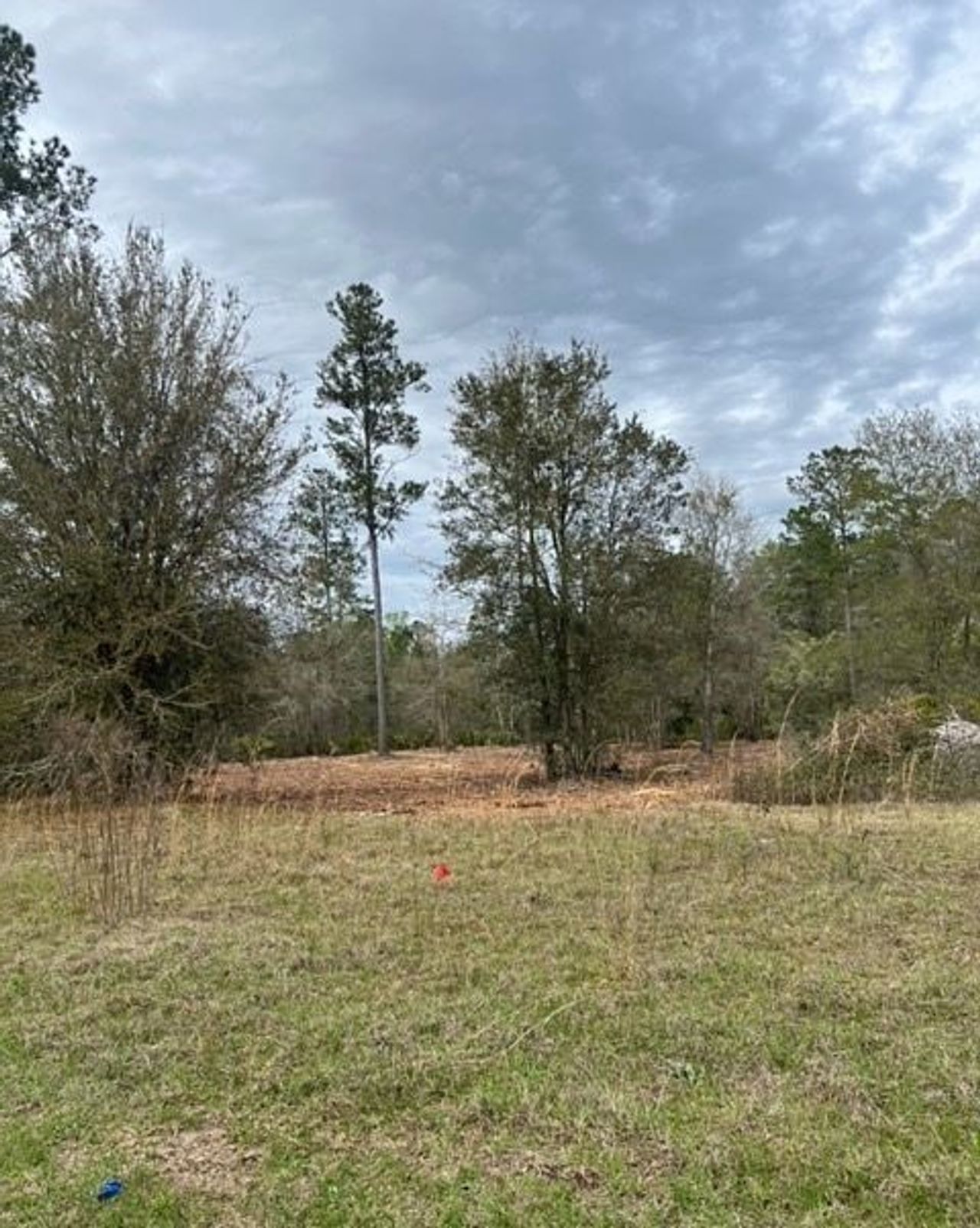 listing, photo 1