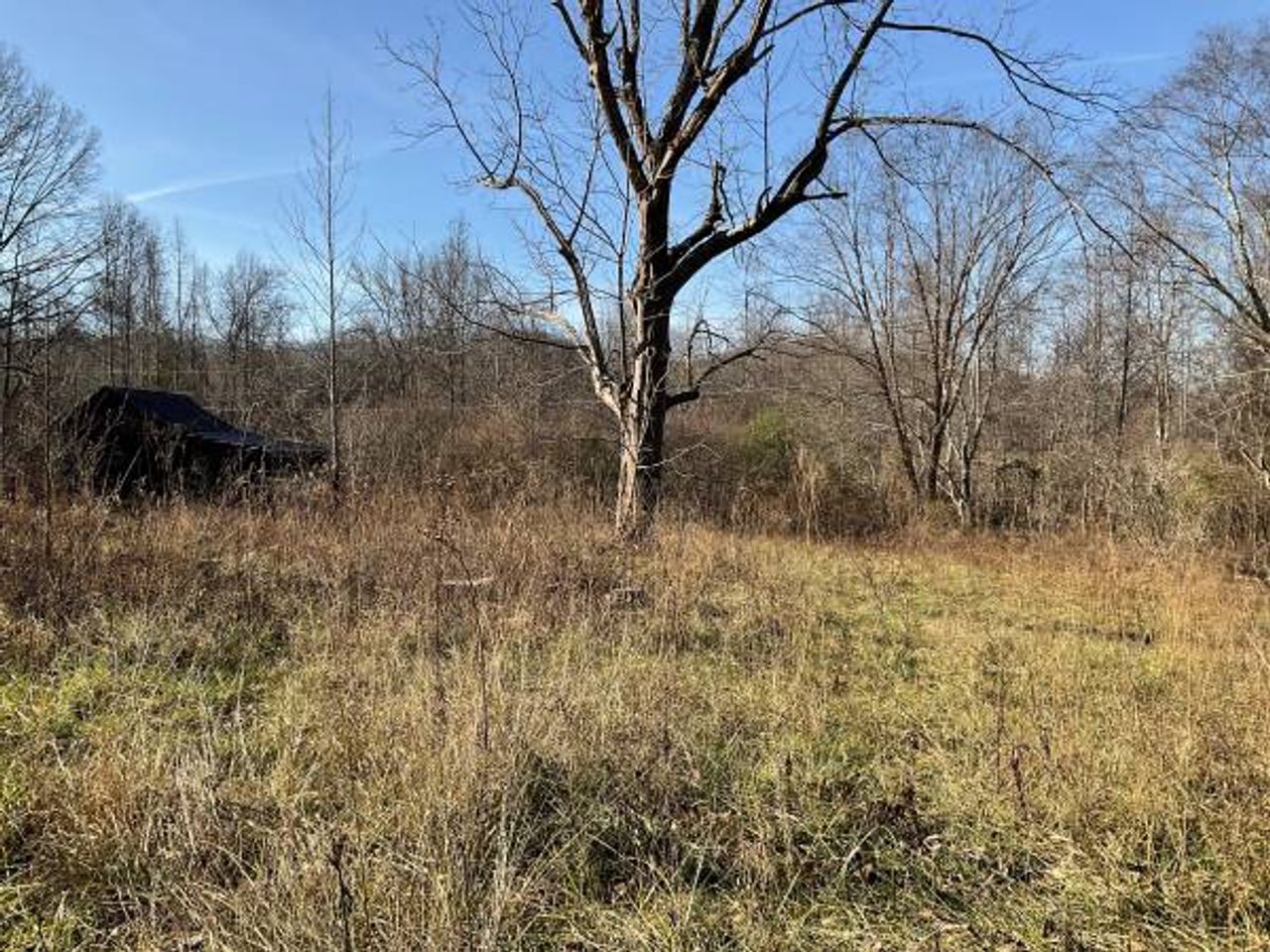 listing, photo 1