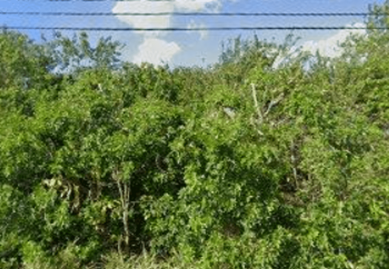 listing, photo 1