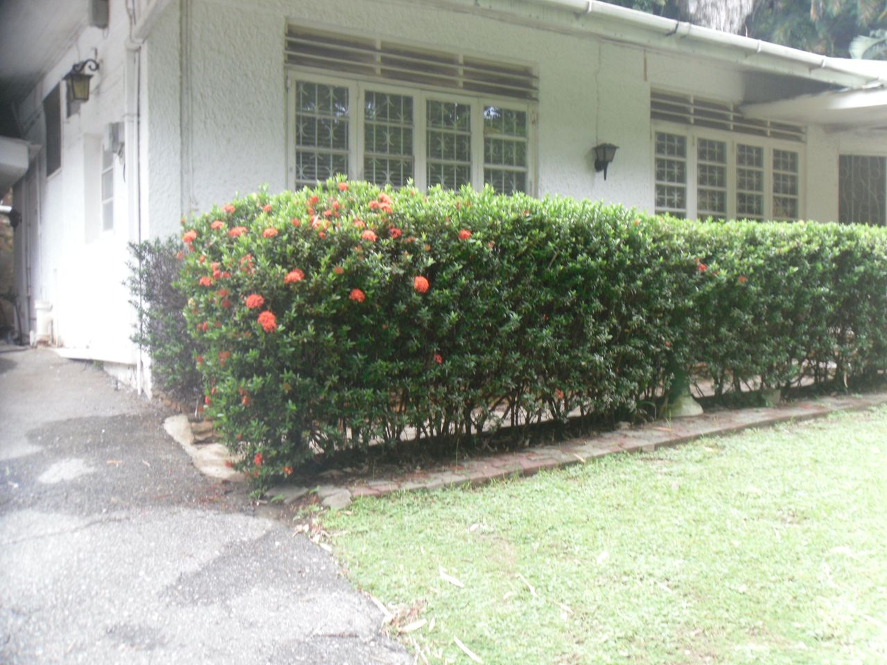listing, photo 1