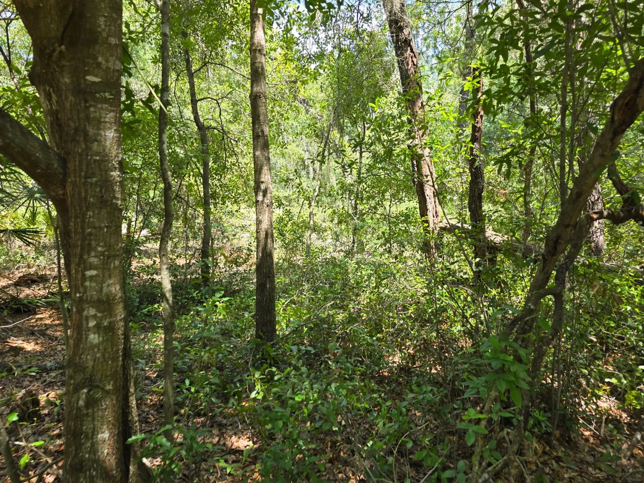 listing, photo 1