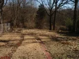 Thumbnail 15